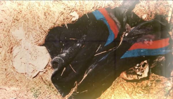 不忍看女性受殘害，英國“路人偵探”自告奮勇，幫警方破獲殺妻案