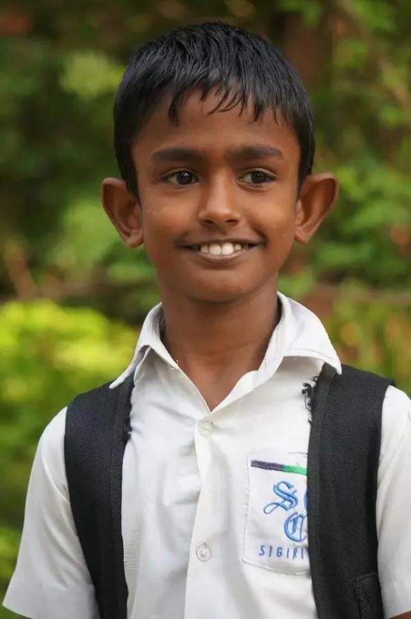 斯里蘭卡--回味無窮的青橄欖