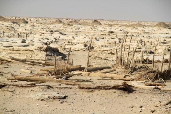 新疆氣候越來越溼潤?河流水量增大,沙漠頻頻下雨 新疆氣候越來越溼潤?河流水量增大,沙漠頻頻下雨