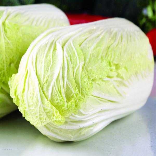 進入寒冬,“3白3黑3紅”該多吃了,順應季節,為明年打好基礎 進入寒冬,“3白3黑3紅”該多吃了,順應季節,為明年打好基礎