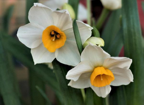 行攝京華大地——最美北京，在冬天