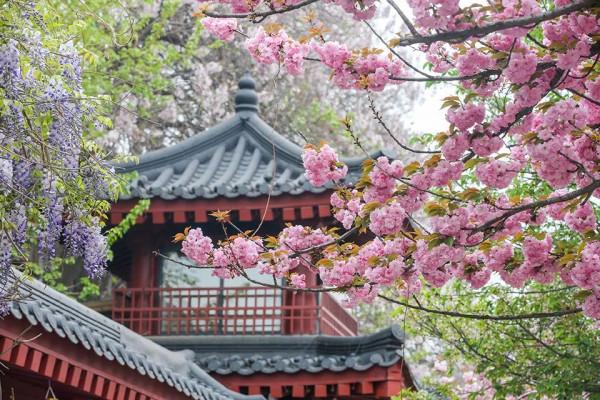 美！外國人眼裡最羨慕的中國美景，你都去過嗎？