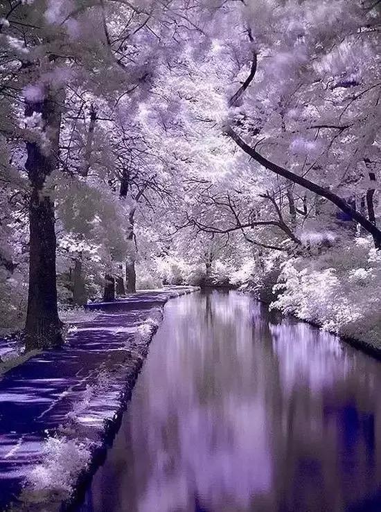 人間仙境美極了