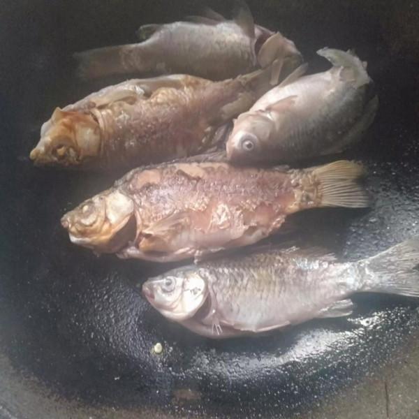 河鯽魚喜歡吃嗎 河鯽魚喜歡吃嗎