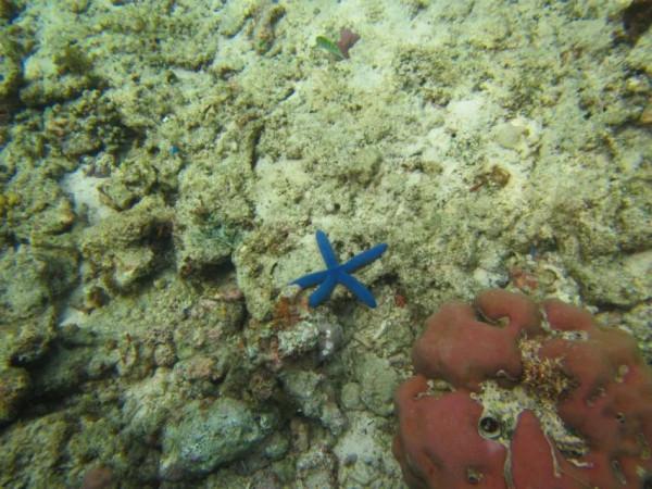 扛著婚紗去旅行之薄荷島篇 扛著婚紗去旅行之薄荷島篇