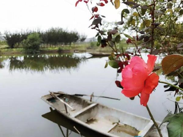 安徽水陽的“燕赤霞”