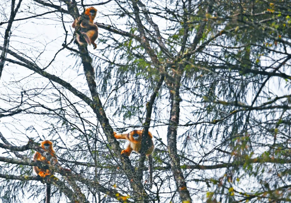 元旦最強攻略出爐！小眾美景、愜意度假、全家出遊都有，拿走去耍