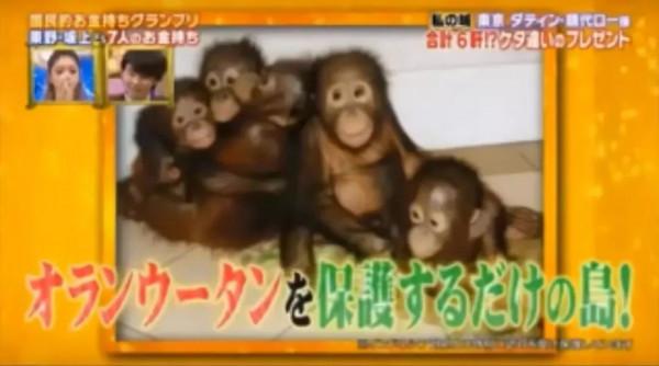 &OpenCurlyDoubleQuote;頂級富太&rdquo;晴代：過生日煤老闆丈夫送島，結婚後送印度貴族爵位