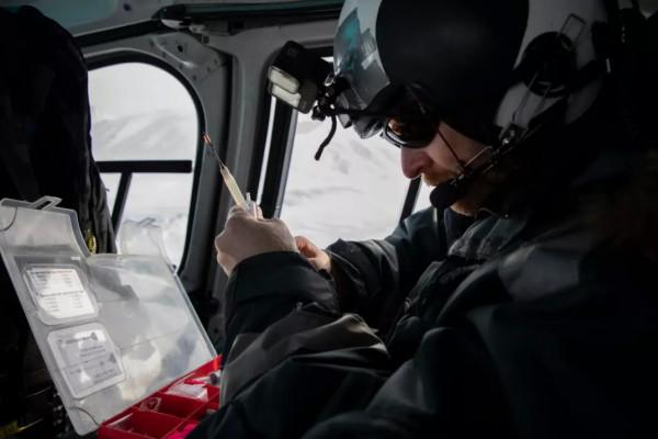 抓住北極熊後該做些什麼？丨奇怪的動物知識
