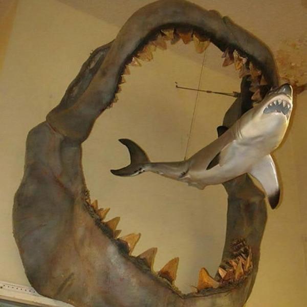 神奇的大自然讓人大開眼界 神奇的大自然讓人大開眼界