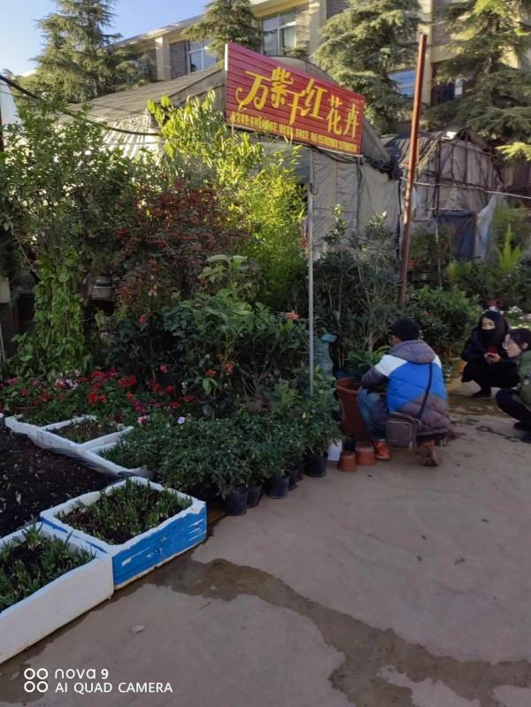 麗江古城昭慶市場