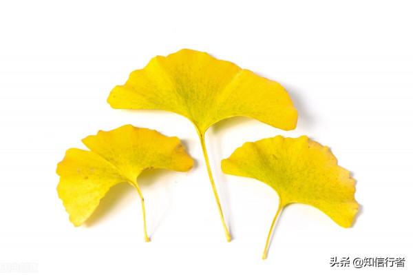 逆向思維:不能聽命於自己者,必將受命於人 逆向思維:不能聽命於自己者,必將受命於人