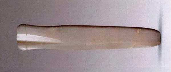 國家寶藏——陝西長安張家坡西周玉器圖錄（一）