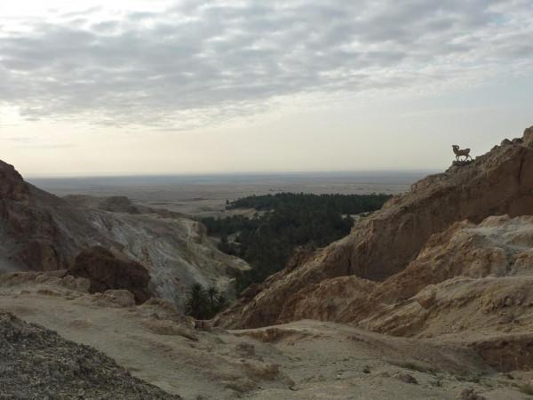 「突尼西亞2014」託澤尓（一）&mdash;&mdash;沙漠中的綠寶石
