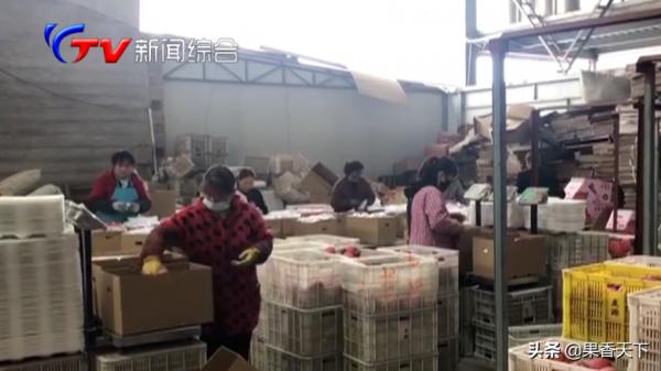 節日氛圍濃，被套圈的老富士能不能抓住最後的機會？