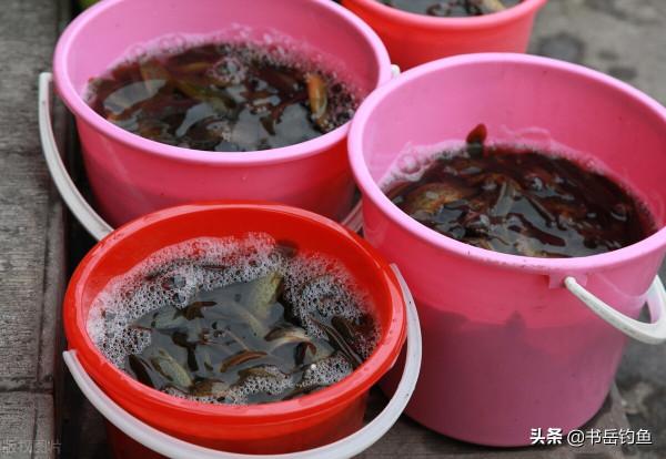 挖蚯蚓還能理解!可挖魚你能相信嗎?山東一釣友在泥土裡挖到了魚 挖蚯蚓還能理解!可挖魚你能相信嗎?山東一釣友在泥土裡挖到了魚