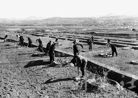 泰安肥城縣六七十年代老照片