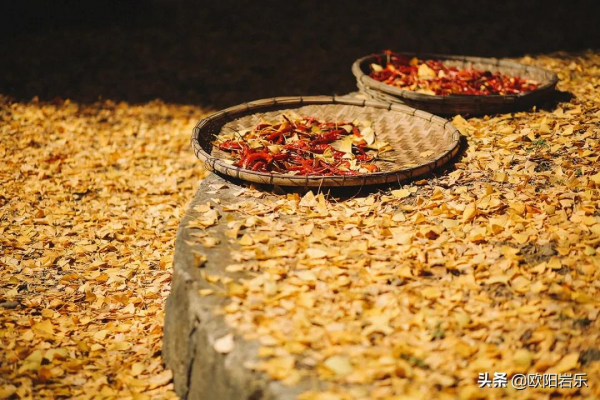 秋去秋來！中國最美的12個地方，你去過幾個？