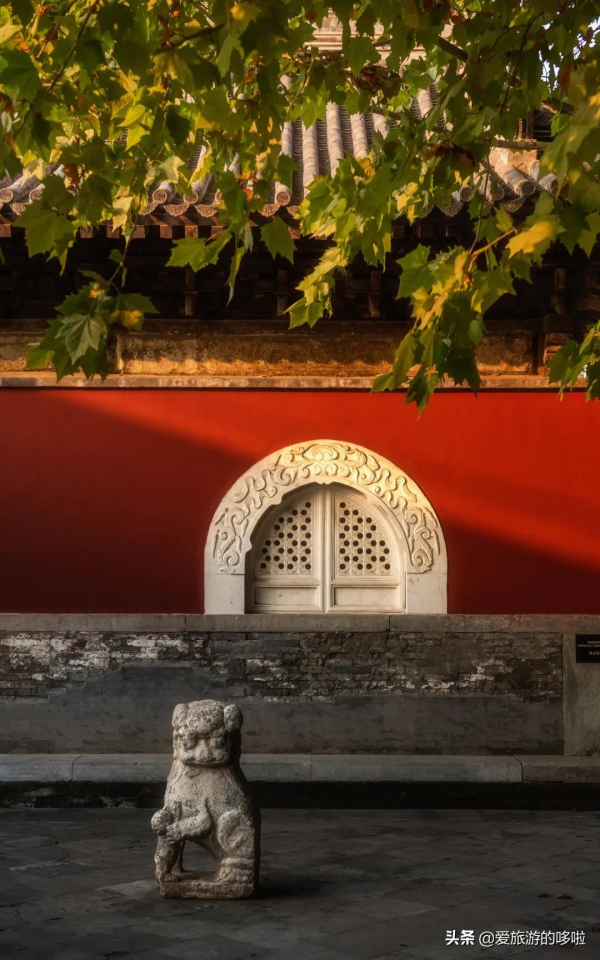 看展喝咖啡、賞壁畫、聽古樂…這座城市的寺廟也太厲害了吧