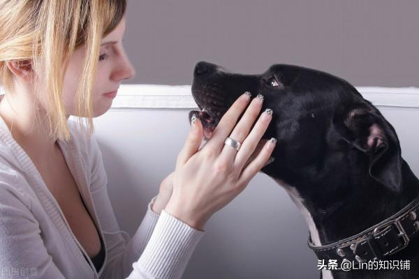 12個冷知識：雖然知道的人很少，但是卻也都真實存在著