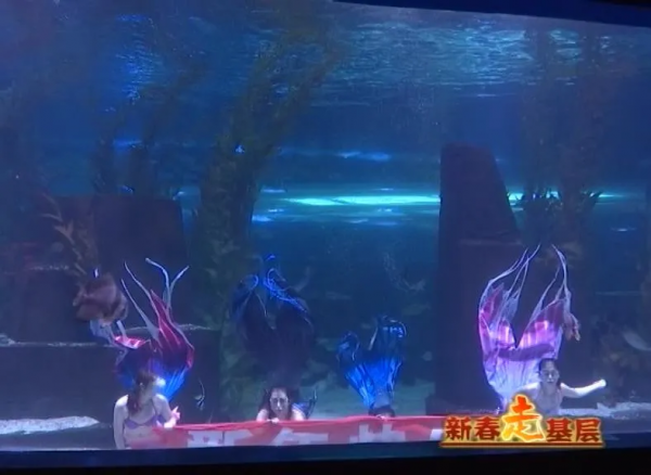 福虎迎春&CenterDot;熱鬧福丨海洋動物鬧新春