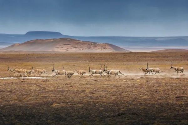 你去過“無人區”裡的景區嗎？