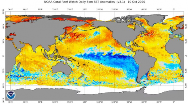 甘肅突遭大雪,拉尼娜板上釘釘,花牛銀裝素裹,農民:不見得壞事 甘肅突遭大雪,拉尼娜板上釘釘,花牛銀裝素裹,農民:不見得壞事