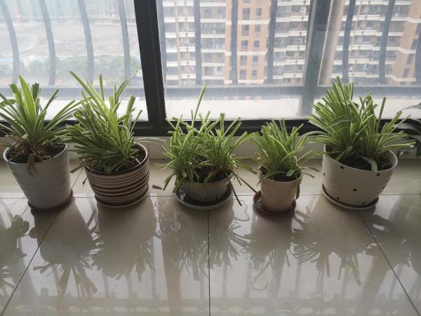 極簡生活第120天——用不完的護膚品、化妝品