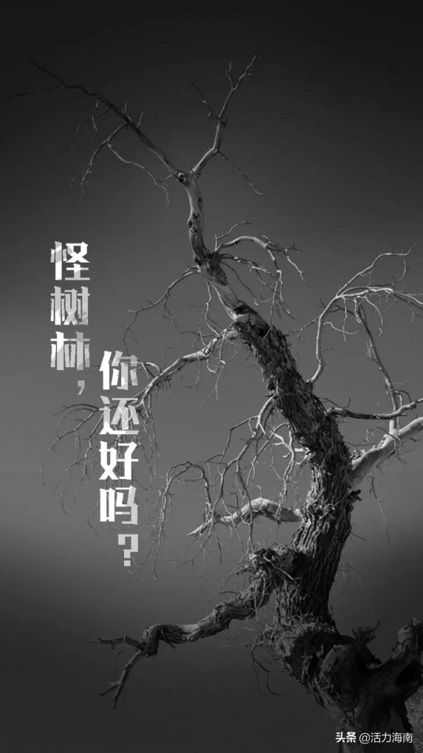 點亮！為額濟納加油！