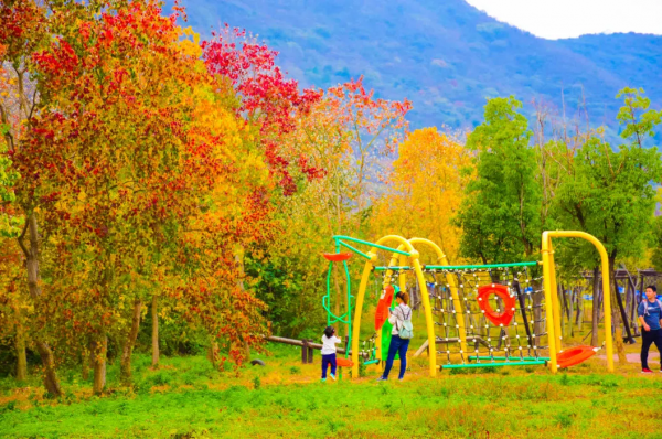 提前預熱第四波——半湯最美秋景 提前預熱第四波——半湯最美秋景