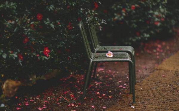 永遠不會成為“綠茶”的星座女,坦率真誠,不會矯揉造作 永遠不會成為“綠茶”的星座女,坦率真誠,不會矯揉造作