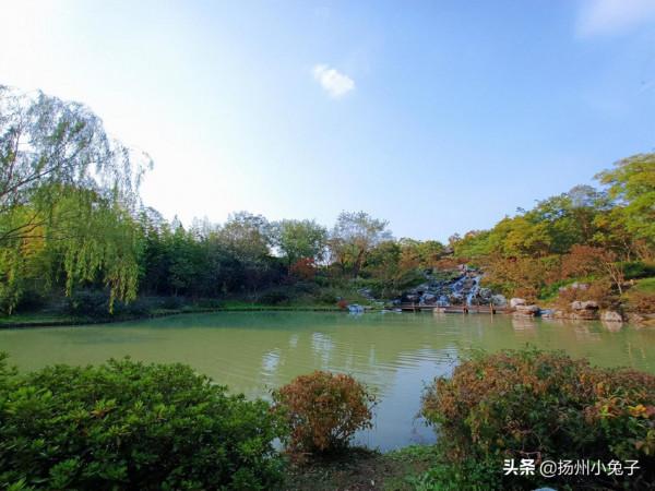 人閒桂花落，看花也要儀式感