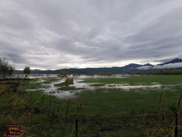 拍照勝地—拉市海湖濱公園（阿鄉哥）
