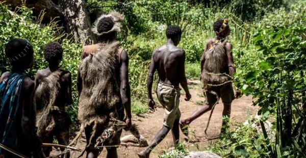 人類是如何站到食物鏈的頂端的