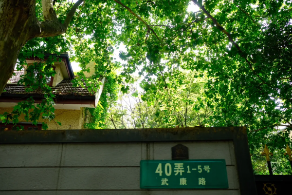 全中國最內卷的馬路,在上海 全中國最內卷的馬路,在上海