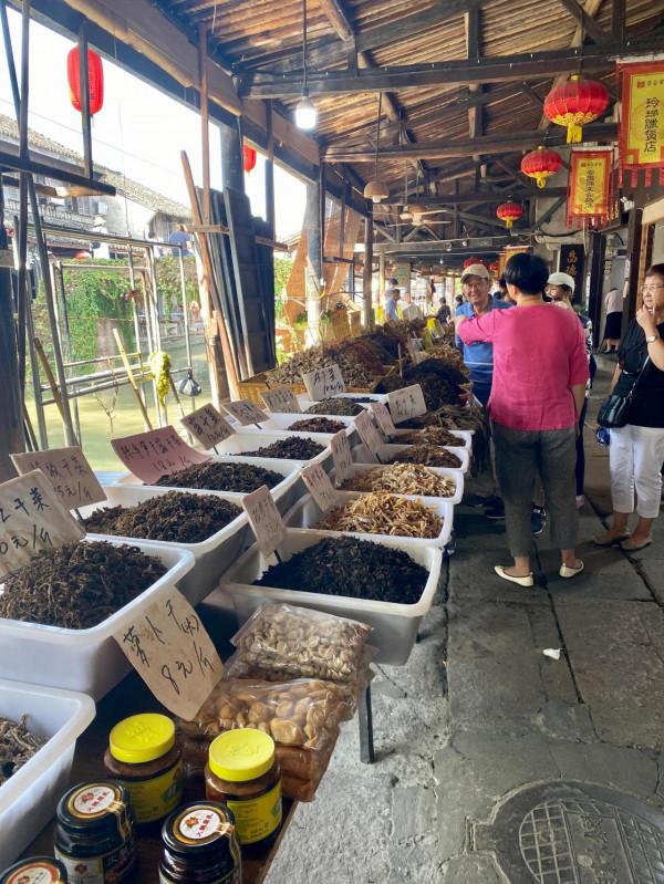 最美的江南古鎮 太美味了 最美的江南古鎮 太美味了