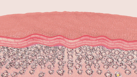 你的膠原補對了嗎選對王牌胜肽，抗老事業事半功倍