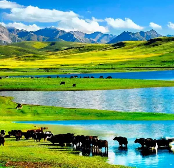 國內浪漫的20個旅行地，如果你們去過一半，那就結婚吧