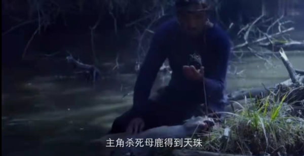 《當家主母》虐貓？這些影視劇的動物們也很慘，有些甚至立過功