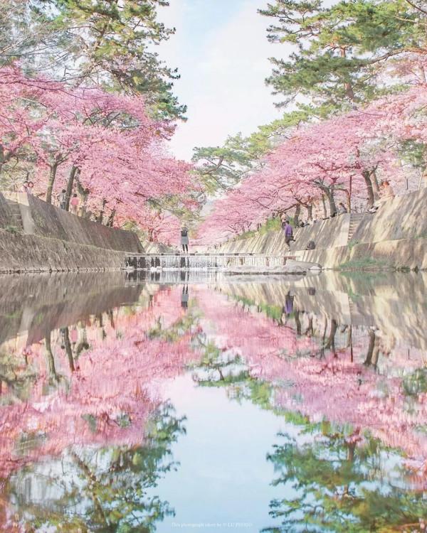 花花世界，美若仙境