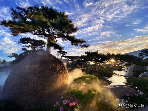 快來打卡!順義4地上榜2021北京網紅打卡地推薦名單 快來打卡!順義4地上榜2021北京網紅打卡地推薦名單