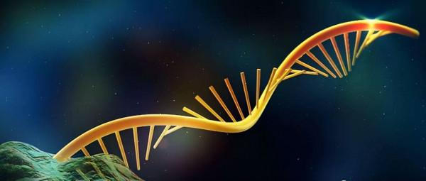 蝙蝠攜帶傳染病毒，為啥不能讓它滅絕，科學家：後果可能與之相反