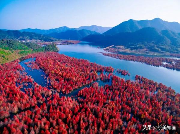 安徽秋遊,五個自駕推薦地|去趕赴秋天的盛會 安徽秋遊,五個自駕推薦地|去趕赴秋天的盛會