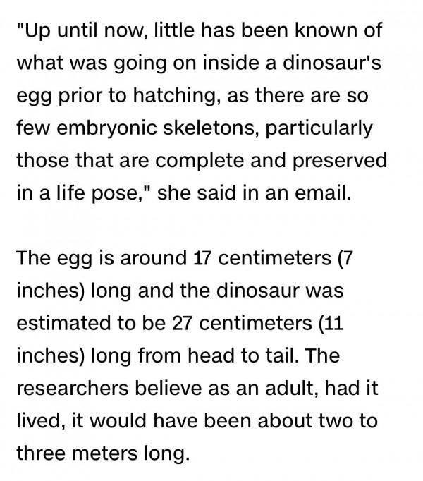 讀CNN學英語：恐龍胚胎化石