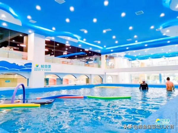 WHALE FORT | 親子游泳運動,是孩子生命中有益的事 WHALE FORT | 親子游泳運動,是孩子生命中有益的事