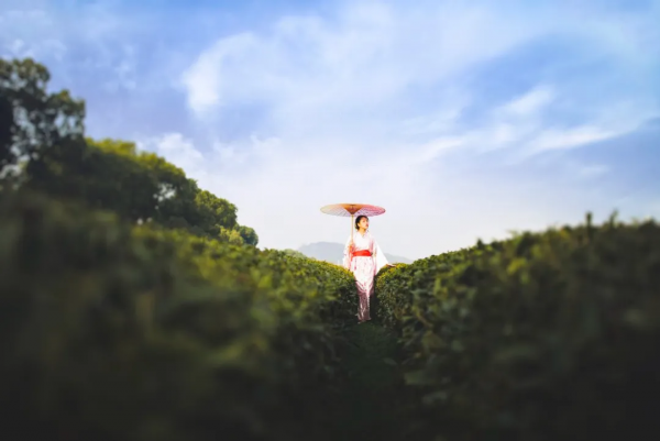 人窮不省三種錢，沒錢不串三人門