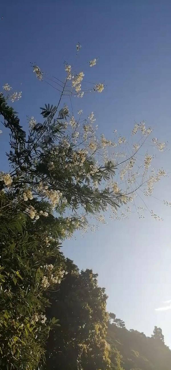 雲彩下的山城系列（四）