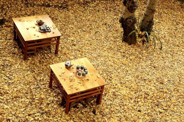 雲南這幾個地方的美景,才是深秋的正確開啟方式,絕美而又低調 雲南這幾個地方的美景,才是深秋的正確開啟方式,絕美而又低調