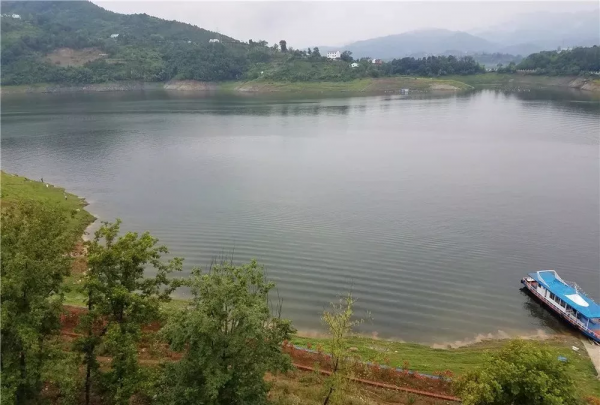 釣魚遇到溫度下降怎麼辦？教你幾個技巧，準確把握魚情