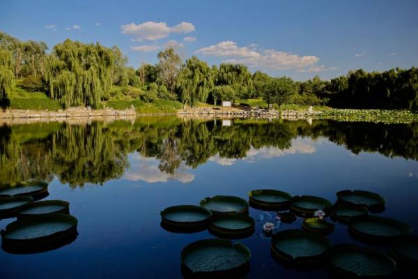 處暑│離離暑雲散 嫋嫋涼風起 處暑│離離暑雲散 嫋嫋涼風起